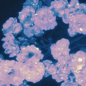 18一20亚洲GAY无套
